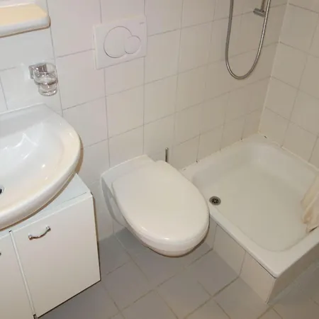 Flat In With Ski-in Ski-out Access Nendaz