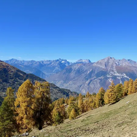 Flat In With Ski-in Ski-out Access Nendaz