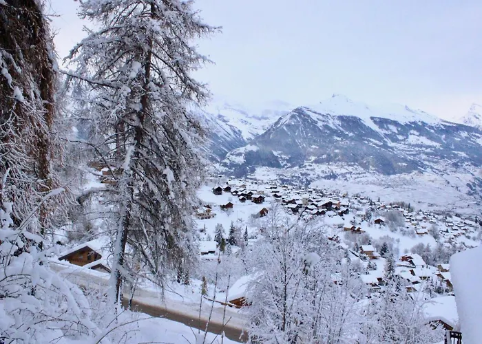 Flat In With Ski-in Ski-out Access Apartmán Nendaz