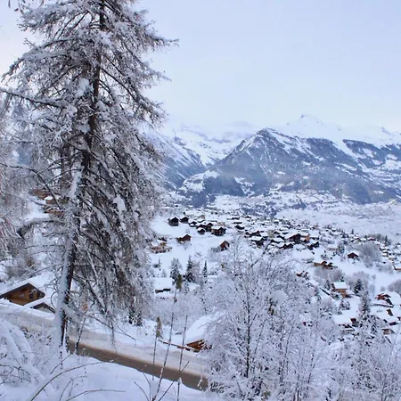 Flat In With Ski-in Ski-out Access Apartamento Nendaz